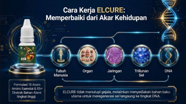 Ilustrasi cara kerja ELCURE meregenerasi sel tubuh