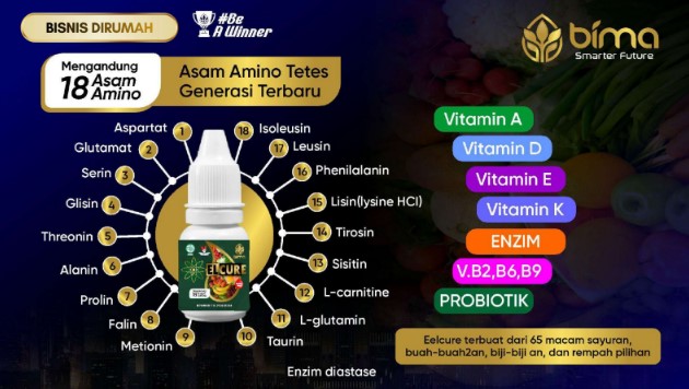 Kandungan utama ELCURE